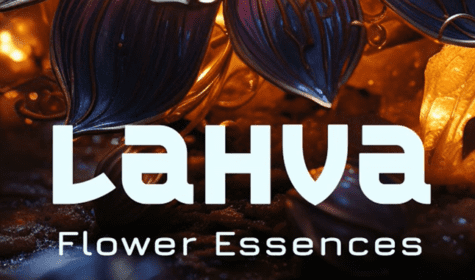 Trichome-Records-Lahva-Flower-Essences